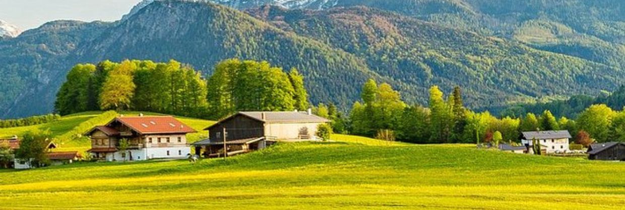Alitalia Airlines Austria