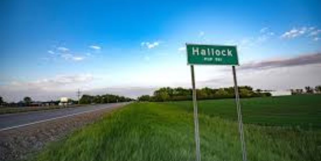 Hallock