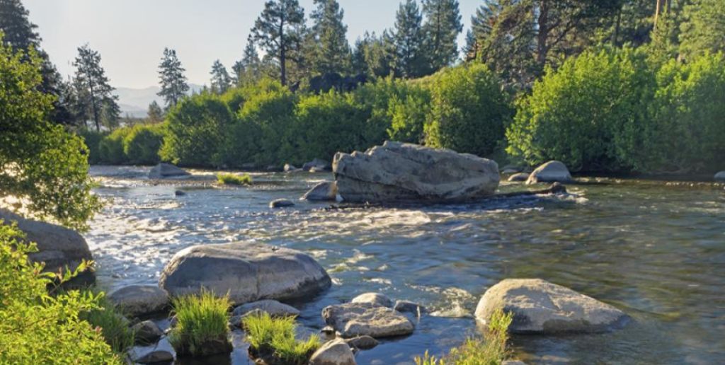 Truckee