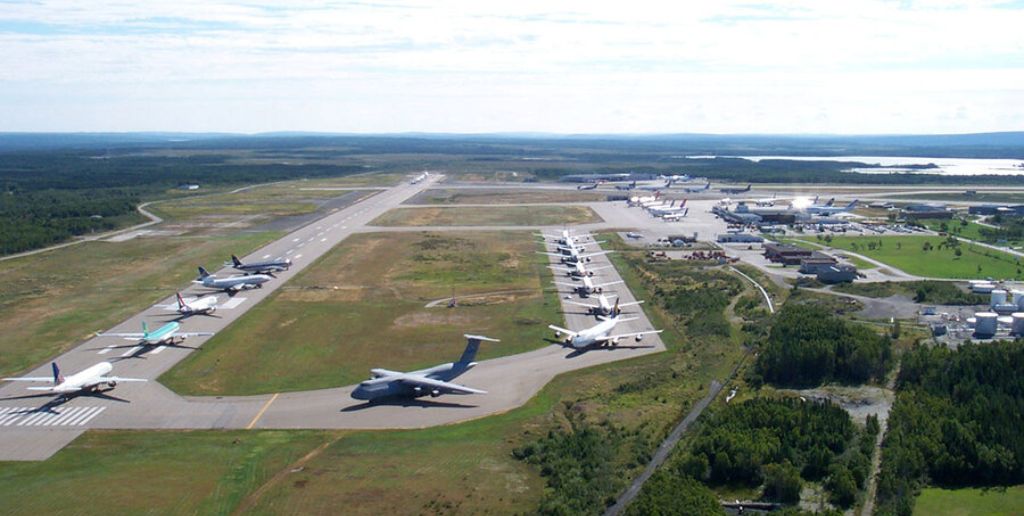 Gander