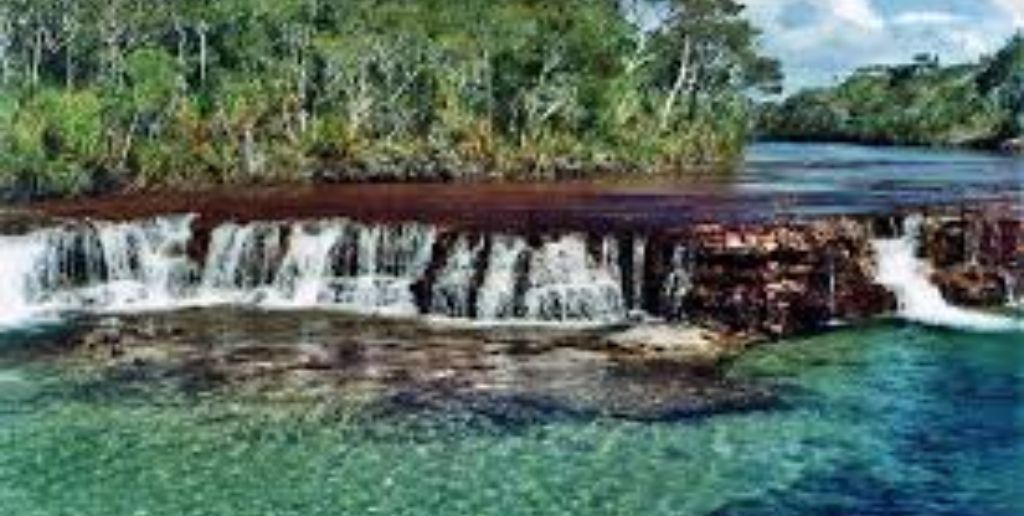 Bamaga
