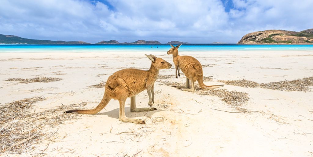 Esperance