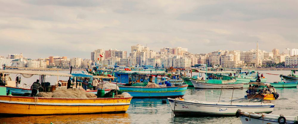 Alexandria
