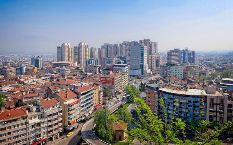Bursa