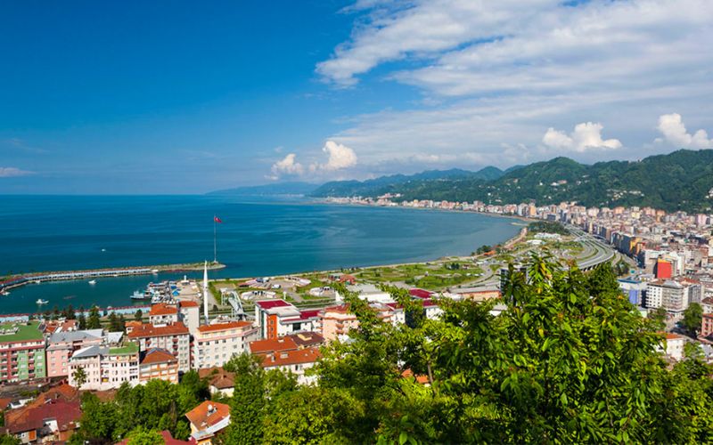 Rize